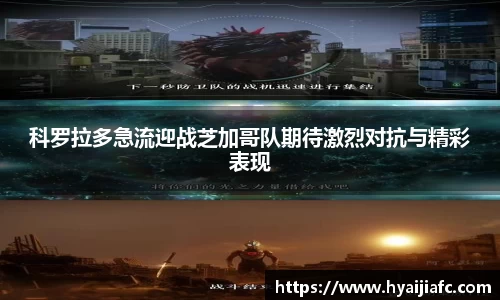 k1体育官方网站